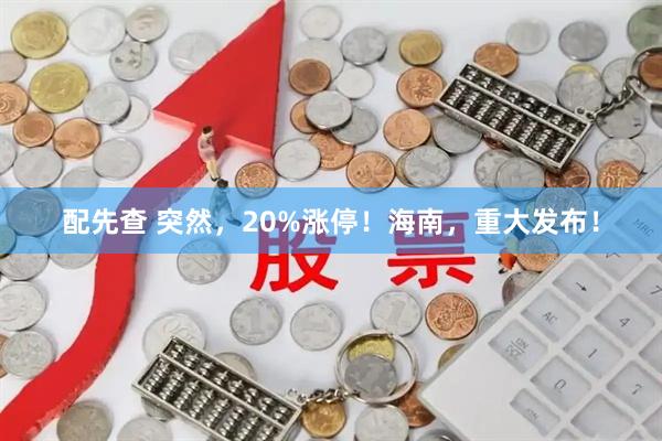 配先查 突然，20%涨停！海南，重大发布！